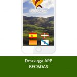 app-becada-plantilla