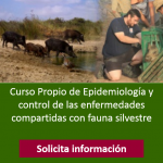 cartel-curso-de-epidemiologia