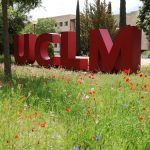 uclm girado