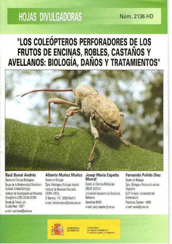 coleópteros