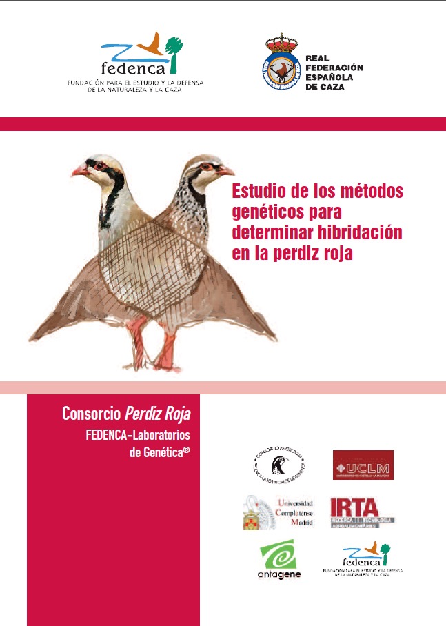 hibridacion-perdiz-roja