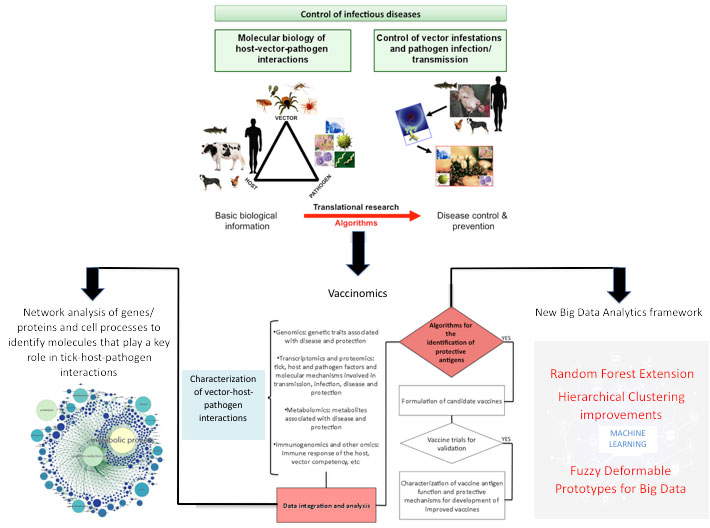 Detección y caracterización a gran escala de antígenos protectores para vacunas contra garrapatas y patógenos mediante la combinación de la vacunómica con técnicas analíticas inteligentes de Big Data.