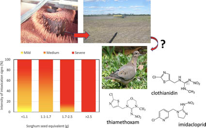 insecticidas_neonicotinoides_tortola