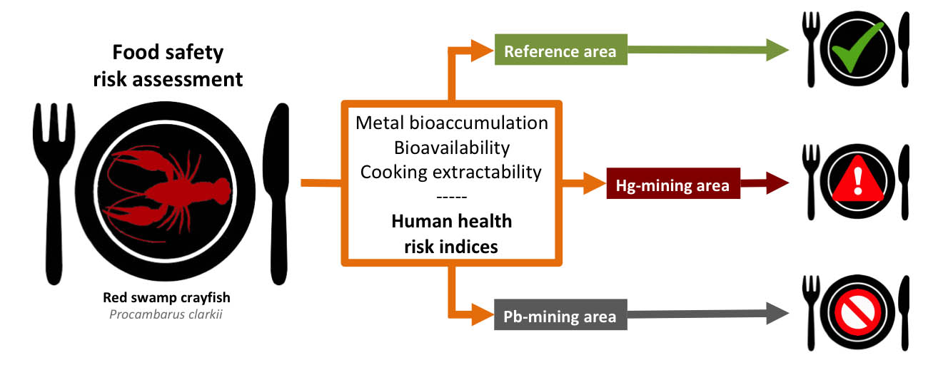 Graphical-abstract