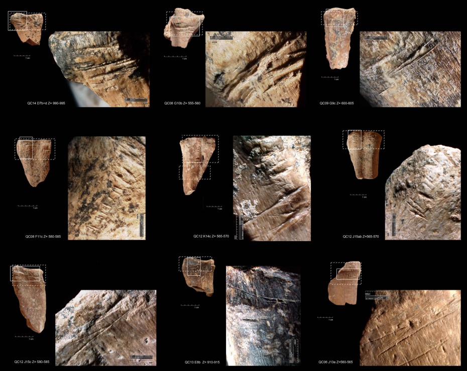 Bone marrow storage and delayed consumption at Middle Pleistocene Qesem Cave