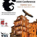 Cartel congreso WDA EWDA IREC 2020