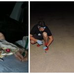 Chotacabras contaminacion minera metales IREC_2