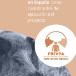 Banner lateral GO PREVPA