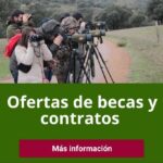 Becas y contratos IREC
