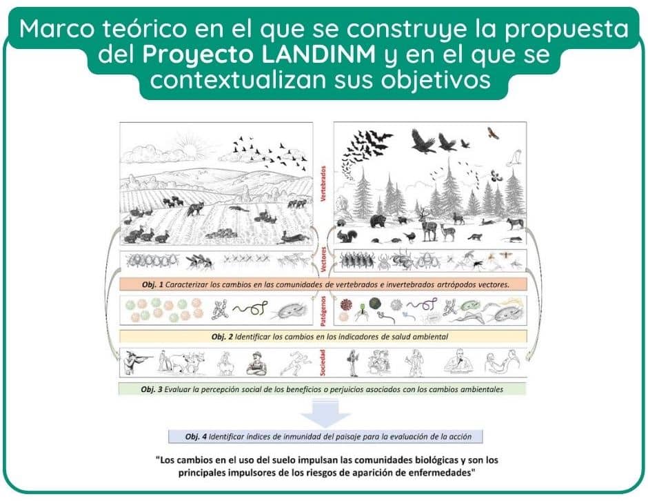 Proyecto LANDINM