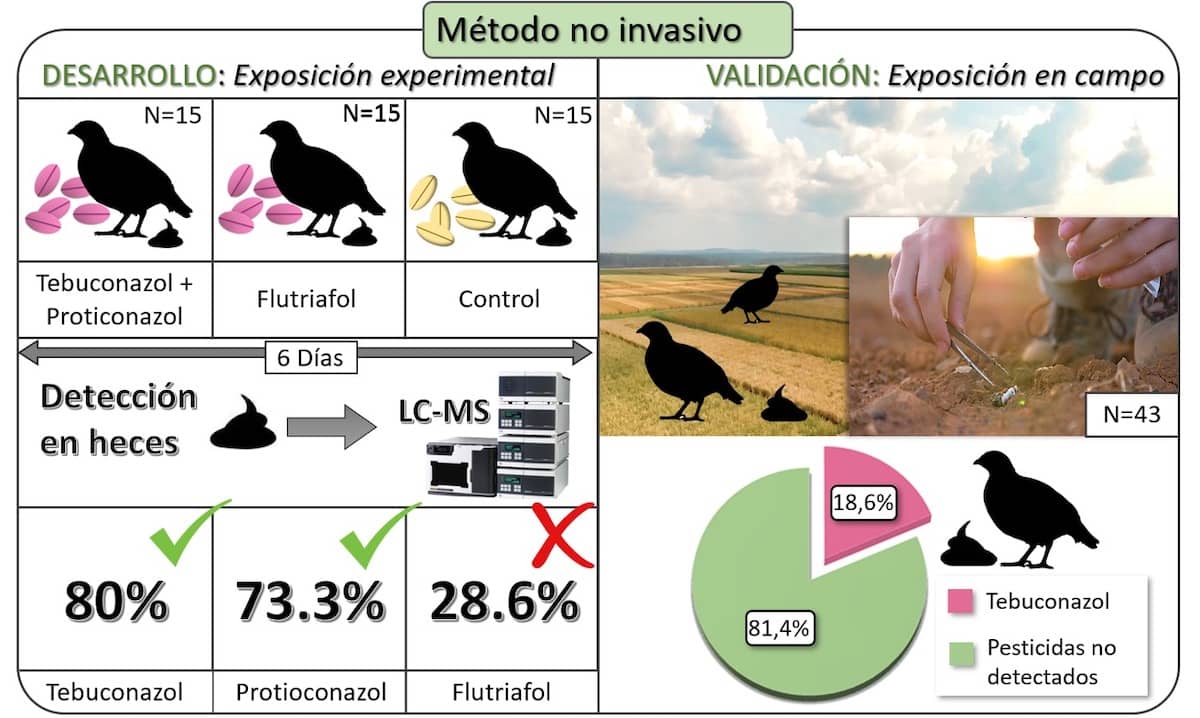 Método no invasivo para la detección de fungicidas triazoles en aves