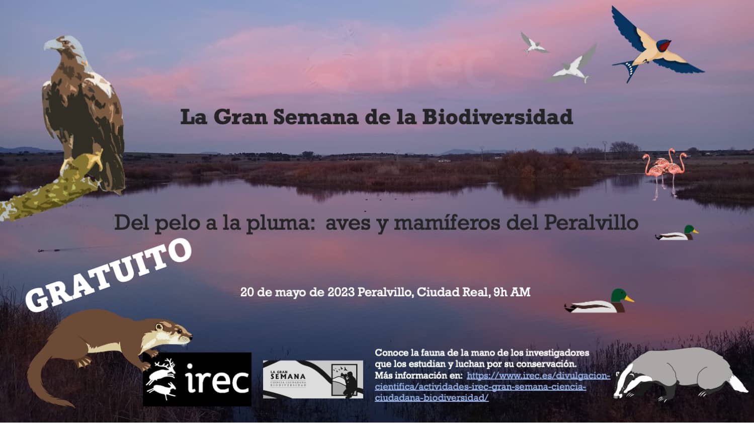 Cartel Actividad 1: Participa con el IREC en la Semana de la Ciencia Ciudadana y la Biodiversidad