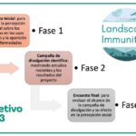 Esquema de las tres fases de ejecución contempladas en el objetivo 3 del Proyecto LANDINM