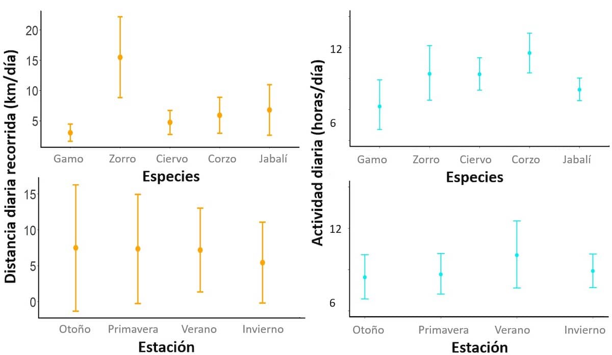 Este trabajo demuestra la necesidad de estimar tasas de movimiento en la población objeto de estudio cuando utiliza fototrampeo junto con métodos que no requieren el reconocimiento de individuos