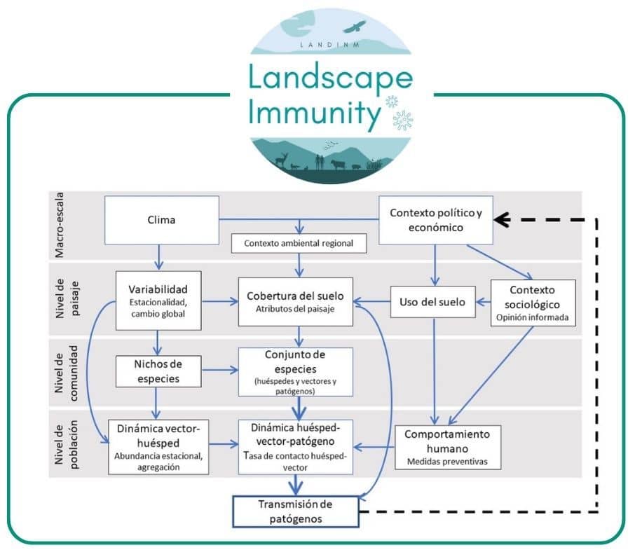 Representación gráfica de los determinantes de la transmisión de patógenos en los ecosistemas, en el contexto del Proyecto LANDINM
