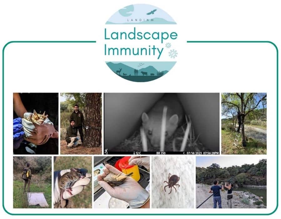 Diferentes trabajos de campo realizados durante la caracterización de las comunidades de vertebrados y artrópodos en el contexto del Proyecto LANDINM