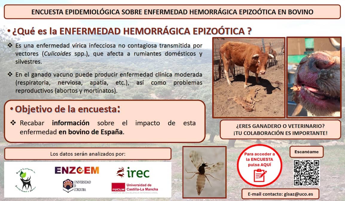 Encuesta sobre la enfermedad hemorrágica epizoótica (EHE) para ganaderos y veterinarios