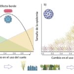 Relación entre la transmisión de patógenos y los cambios en los usos del suelo