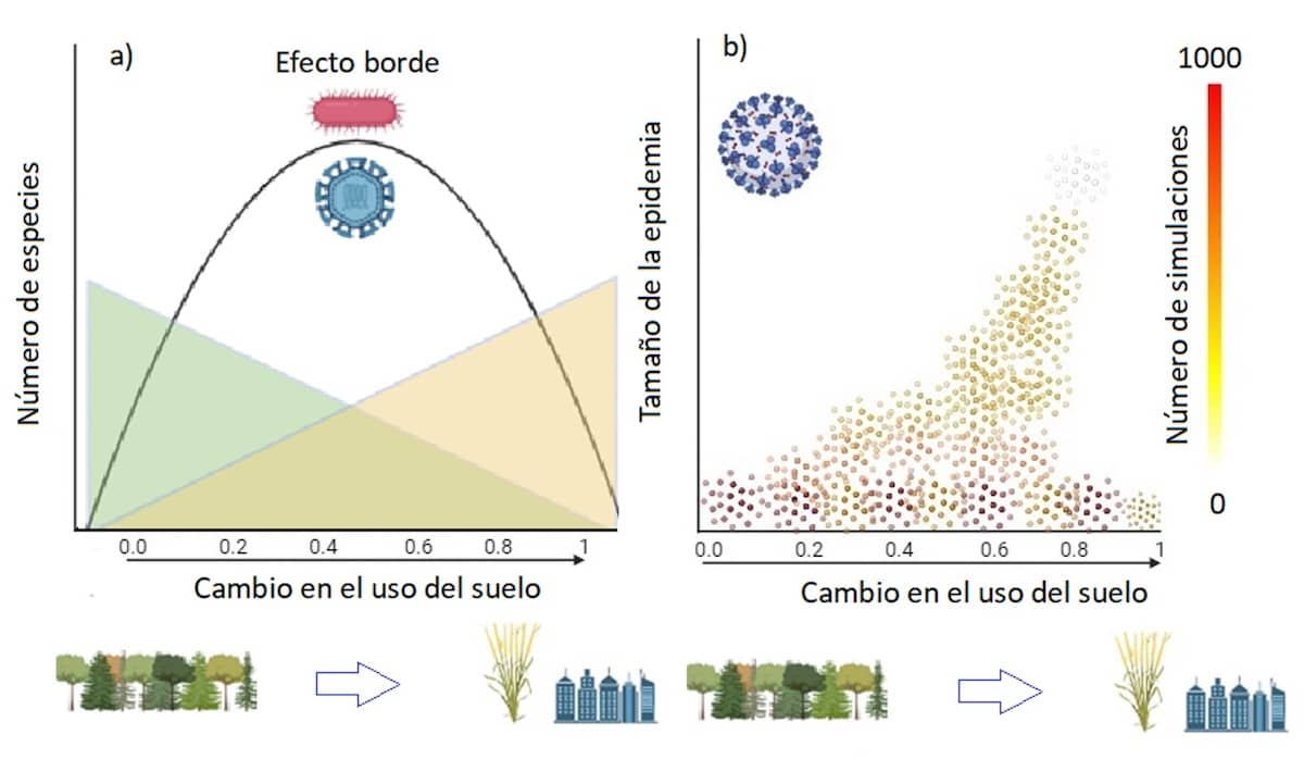 Relación entre la transmisión de patógenos y los cambios en los usos del suelo