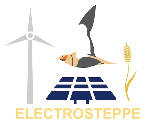 Proyecto ELECTROSTEPPE