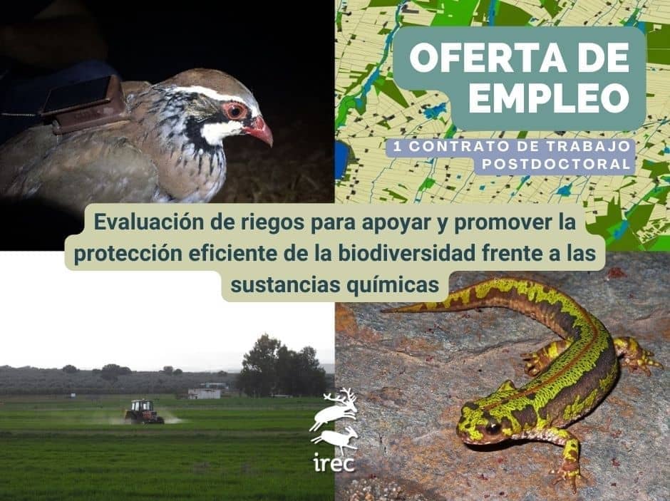 Oferta de un contrato de trabajo postdoctoral en Ecotoxicología: modelado ambiental y de procesos asociados a la biodiversidad
