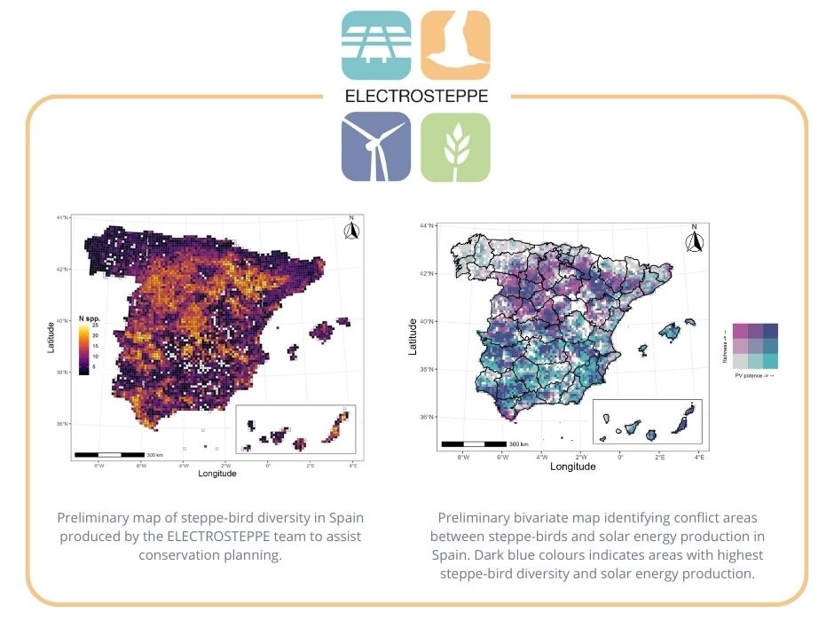 Distribución y abundancia de las aves esteparias en España