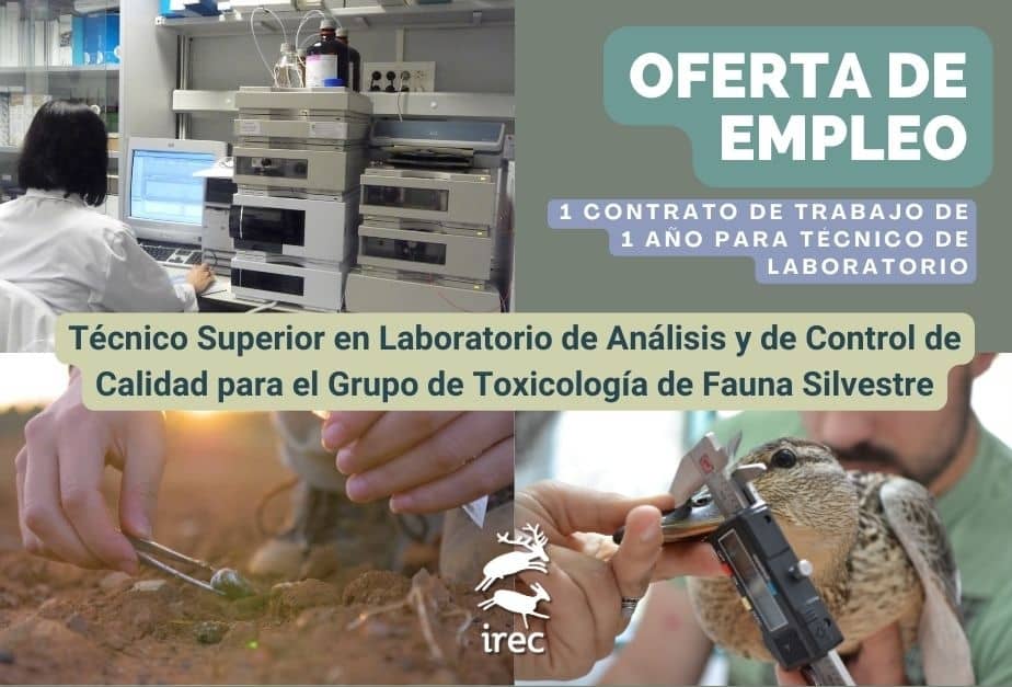 Oferta de un contrato laboral para técnico de laboratorio en el Grupo de Toxicología de Fauna Silvestre del IREC
