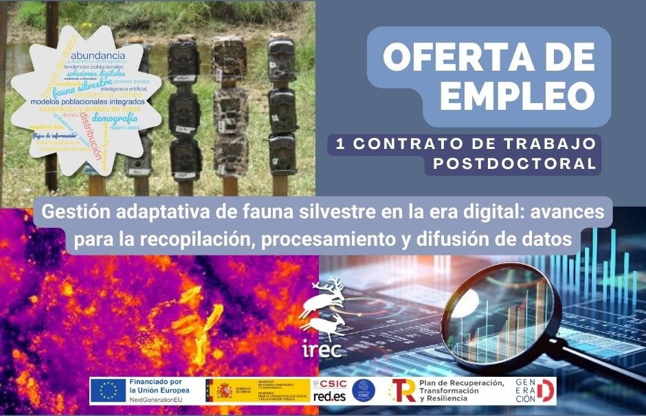El IREC ofrece un contrato postdoctoral en el ámbito del Proyecto “Gestión adaptativa de fauna silvestre en la era digital: avances para la recopilación, procesamiento y difusión de datos” de la convocatoria del Programa MOMENTUM CSIC.