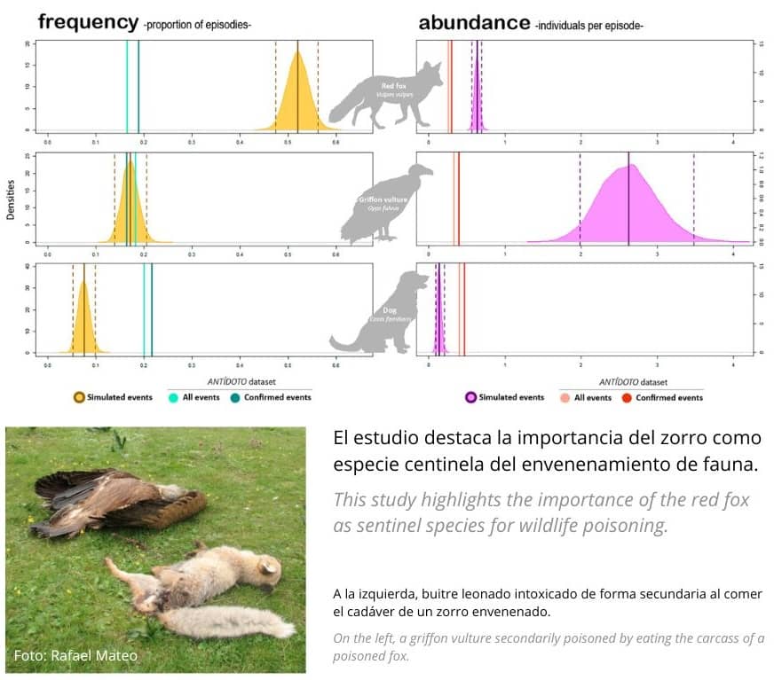 Evaluación de los datos oficiales sobre envenenamiento de fauna silvestre en España