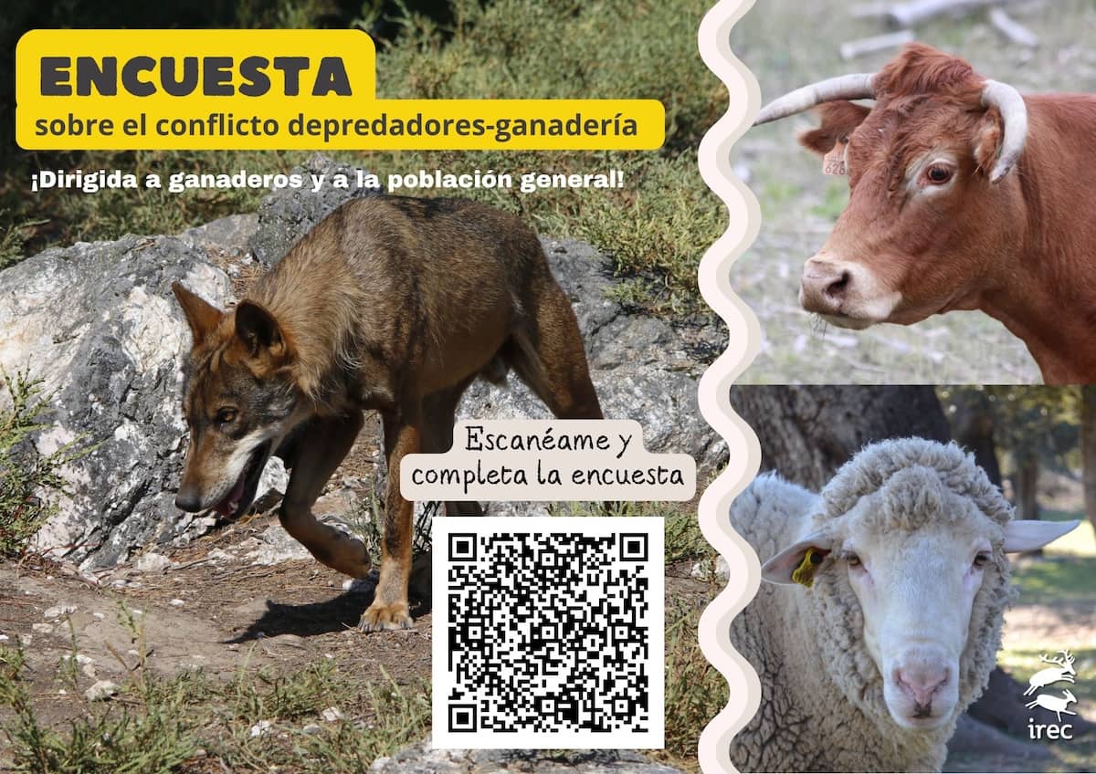 Encuesta sobre el conflicto depredadores-ganadería