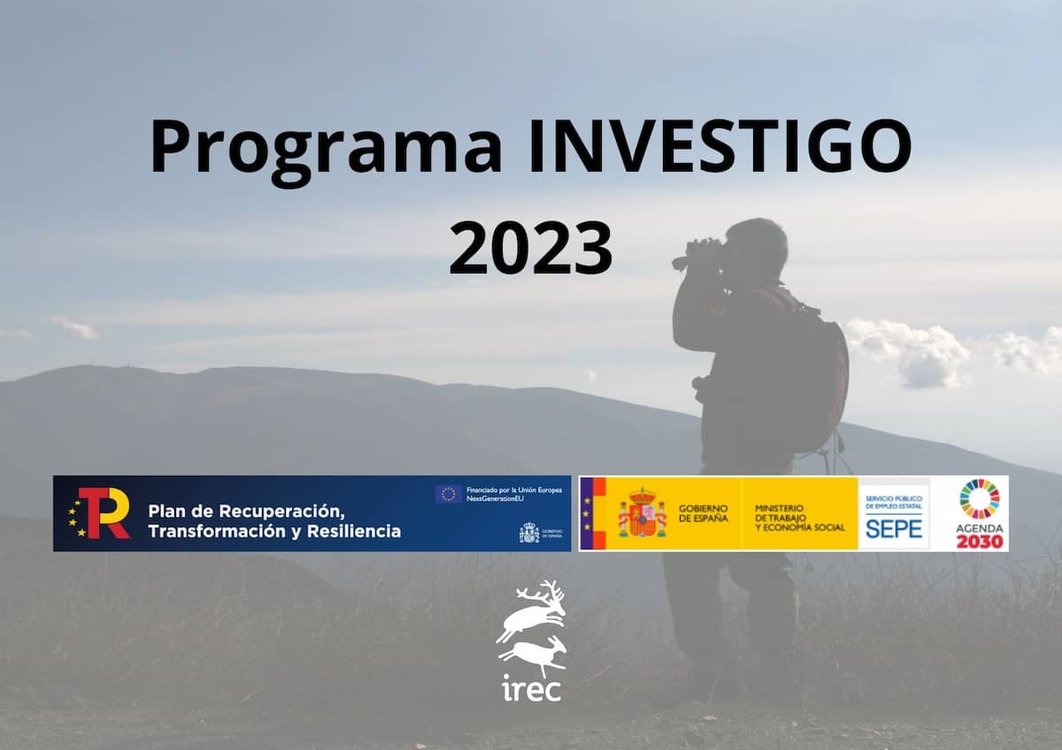 Programa INVESTIGO 2023