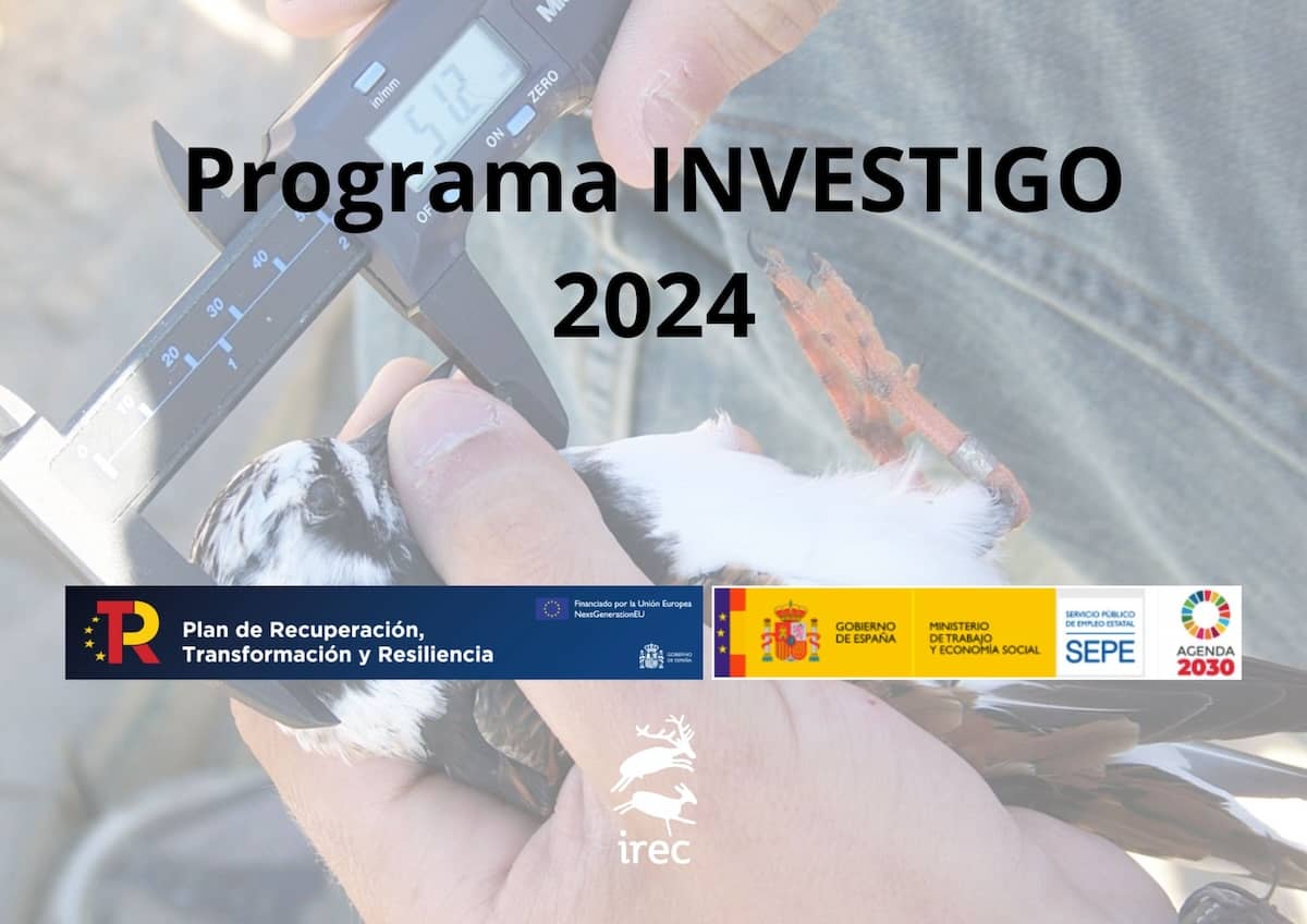Programa INVESTIGO 2024