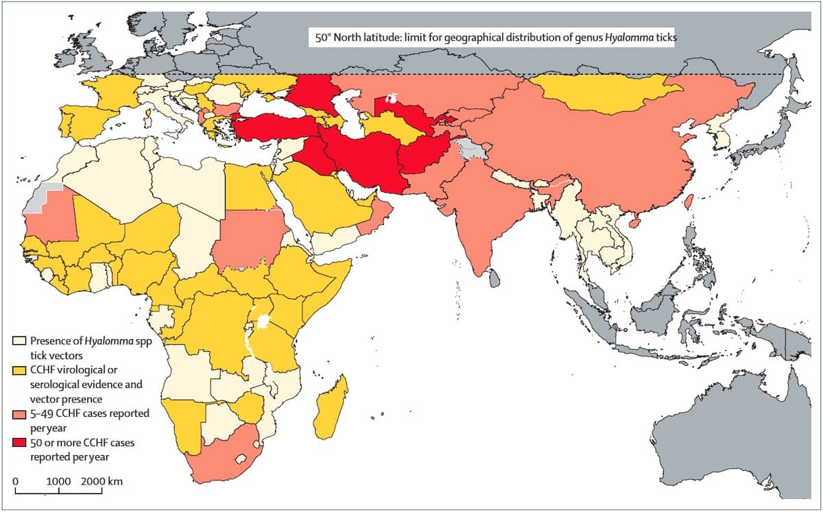 ¿Cómo mejorar la gestión mundial de la fiebre hemorrágica de Crimea-Congo para 2030?