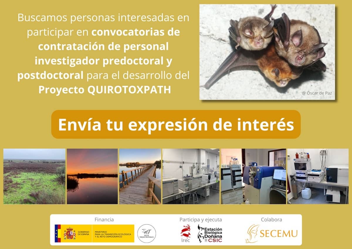 El IREC busca personal con interés por la investigación para trabajar en el Proyecto QUIROTOXPATH