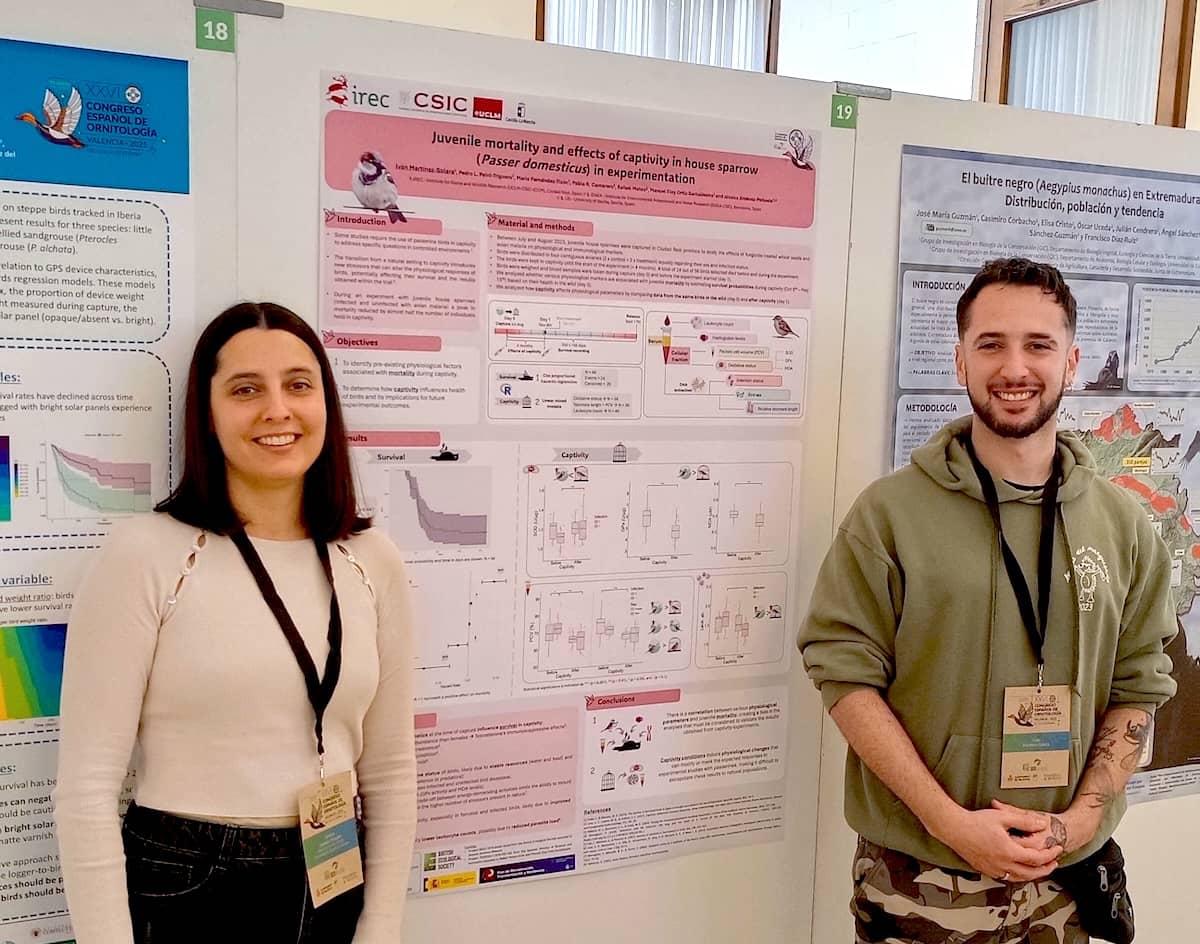 Iván Martínez Solera y Jéssica Jiménez Peñuela, del Grupo de Investigación en Toxicología de Fauna Silvestre del IREC, junto al póster galardonado en el XXVI Congreso Español de Ornitología, titulado “Juvenile mortality and effects of captivity in house sparrow (Passer domesticus) in experimentation”
