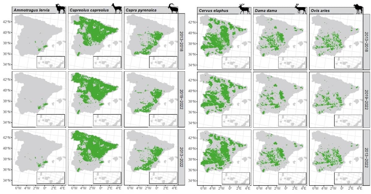Registros de presencia para ungulados silvestres y zorro en España basados en estadísticos de caza durante un periodo de 10 años 