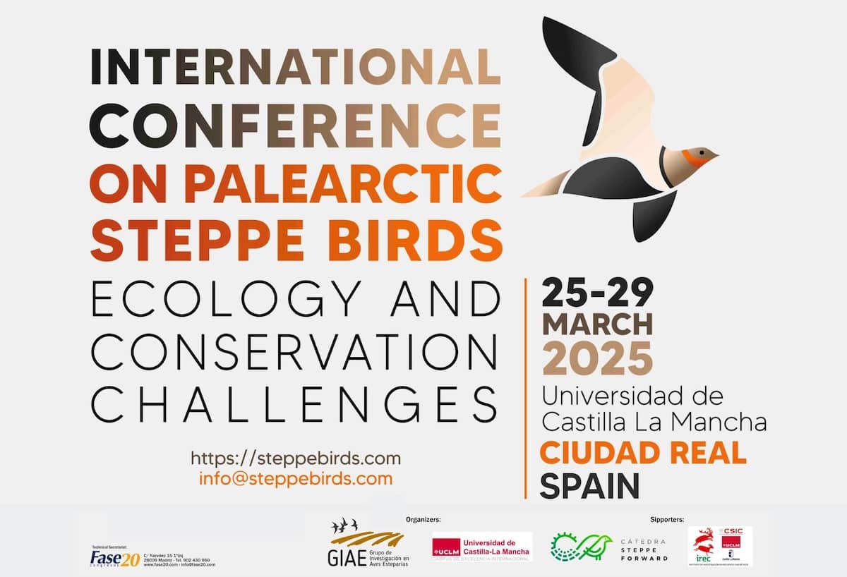 El Congreso Internacional sobre Aves Esteparias del Paleártico se celebrará en Ciudad Real